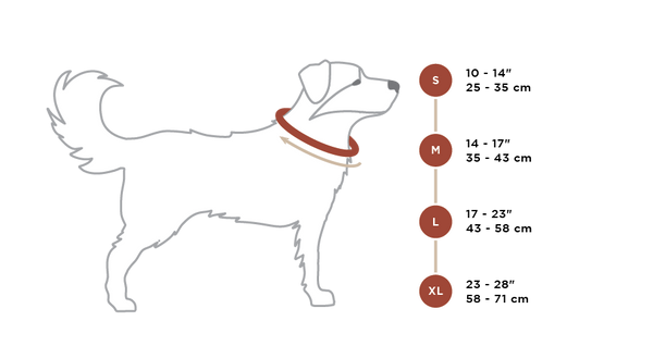 Rocky Mountain Dog - Alpine Dog Collar