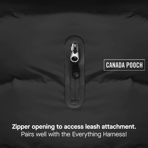 Canada Pooch - The Waterproof Puffer
