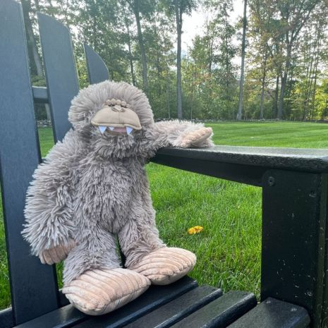Tall Tails - Real Feel Big Foot Dog Toy 20"