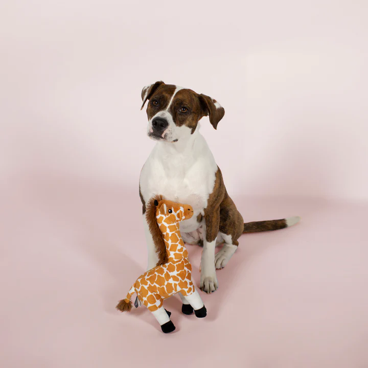 Fringe - Longneck Lawrence Dog Toy