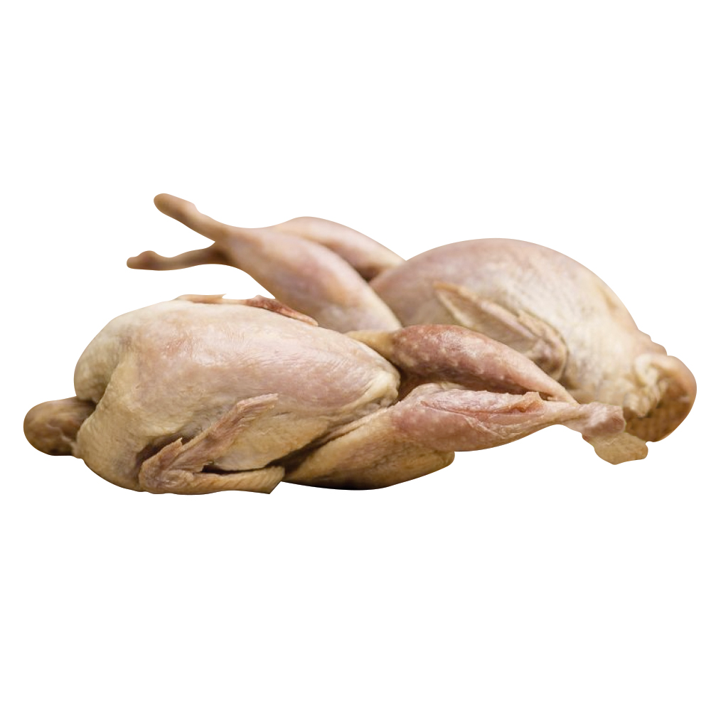 Big Country Raw - Whole Quail -1 lb