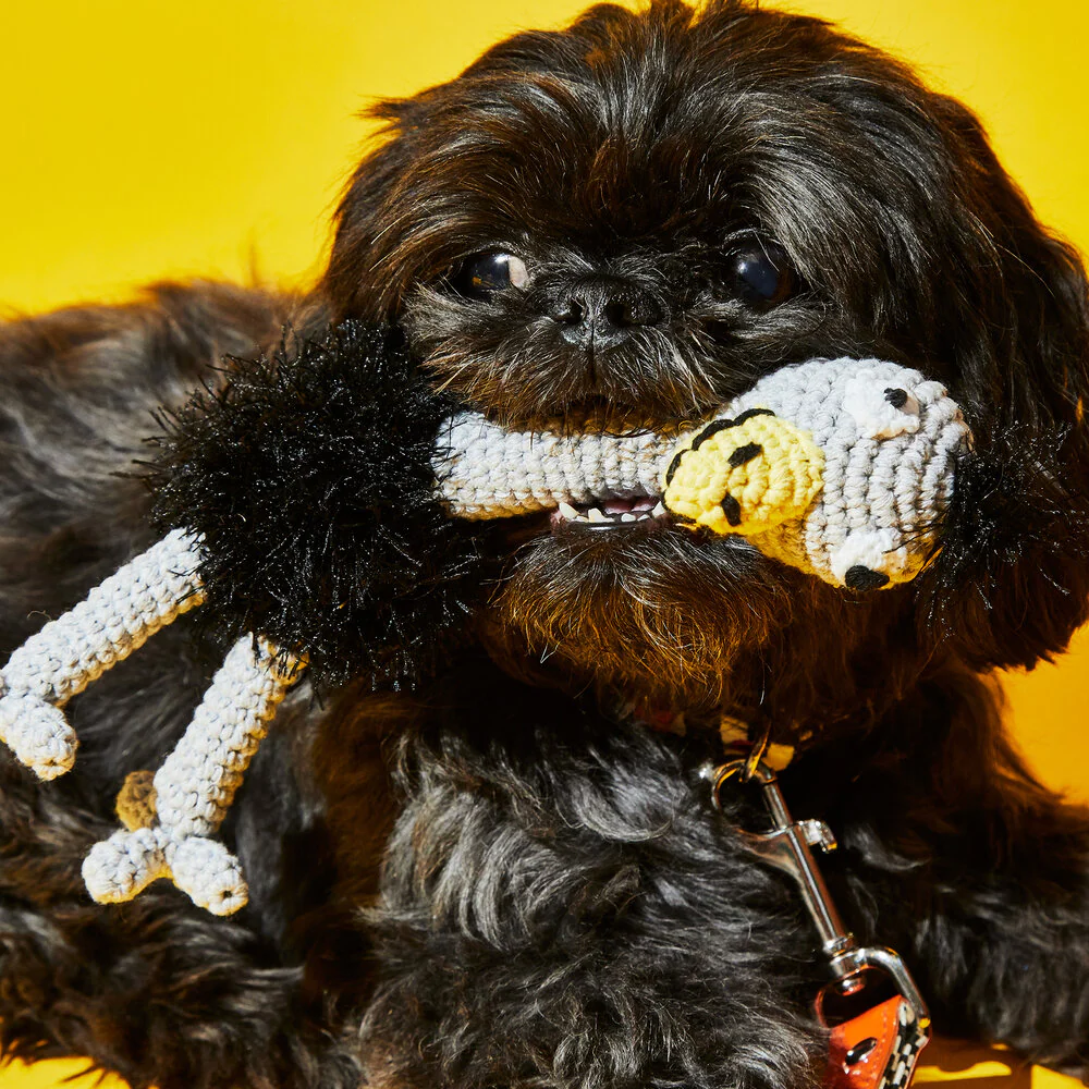 Ware Of The Dog - Hand Crochet Ostrich Dog Toy