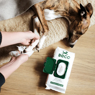 Beco - Bamboo Dog Wipes - 80 Wipes