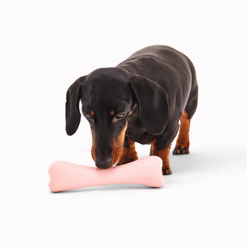 Beco - Treat Bone