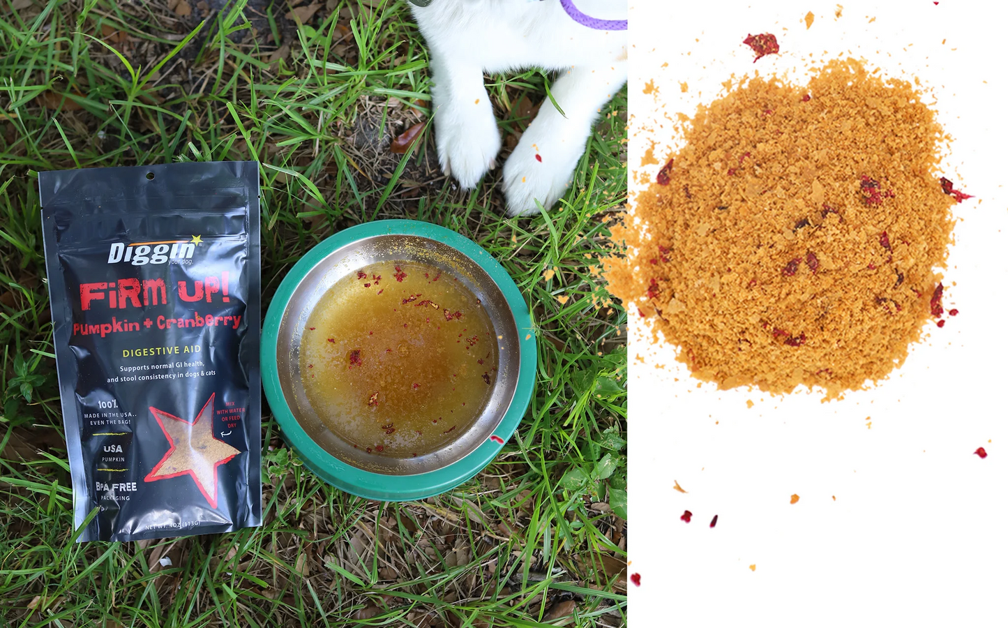 Diggin Your Dog - Firm Up Pumpkin + Cranberry