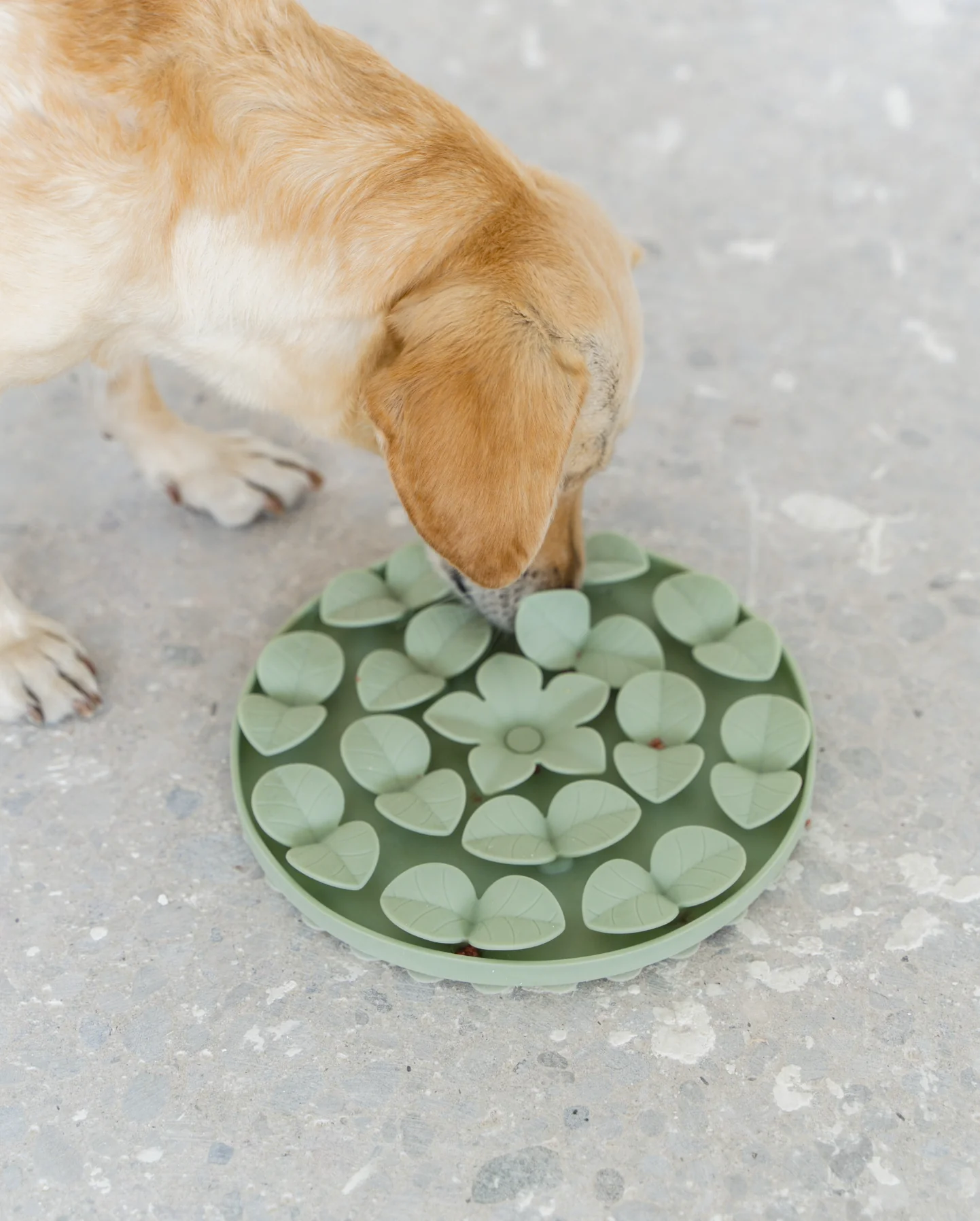 Dexypaws - Sage Green Silicone Snuffle Mat