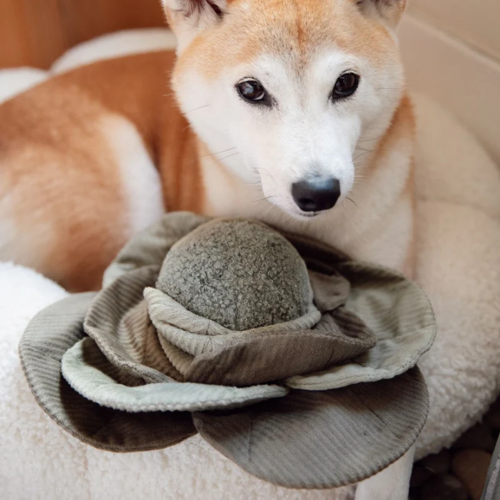 Lambwolf Collective - Cabbage POP Dog Toy