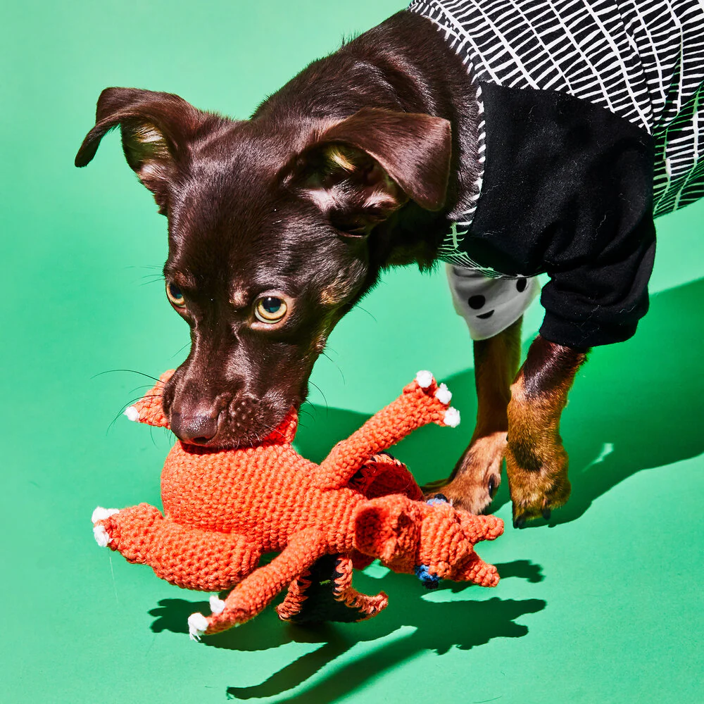 Ware Of The Dog - Hand Crochet Dragon Dog Toy