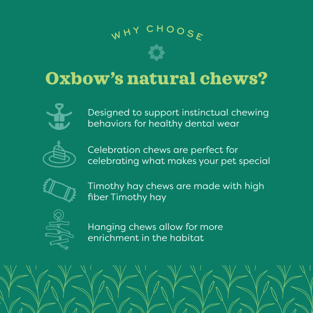 Oxbow - Enriched Life - Apple Stick Bouquet