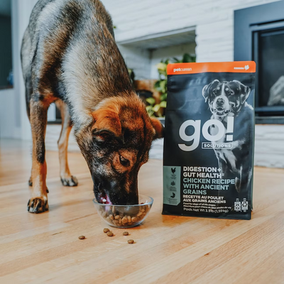 Go! - Digestion & Gut Health - Dry Dog Food