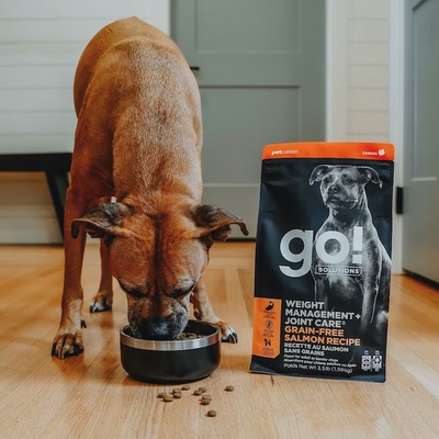 Go! - Weight Management & Joint Care - Dry Dog Food