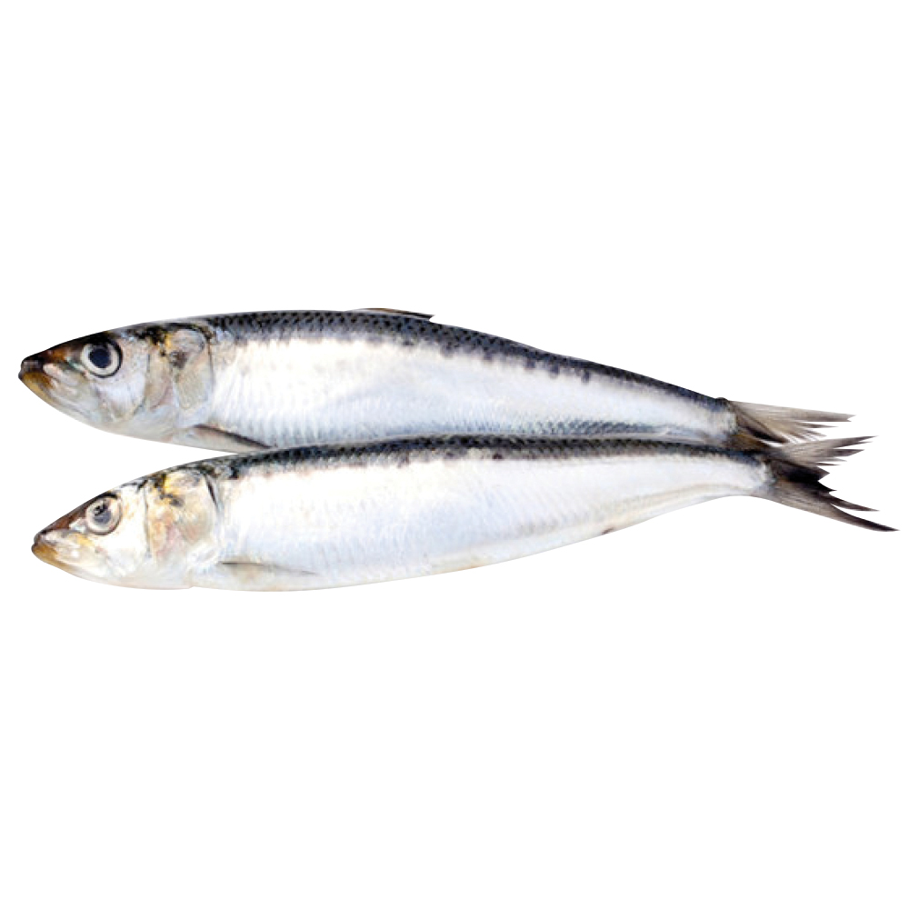 Big Country Raw - Sardines (1 lb bag)