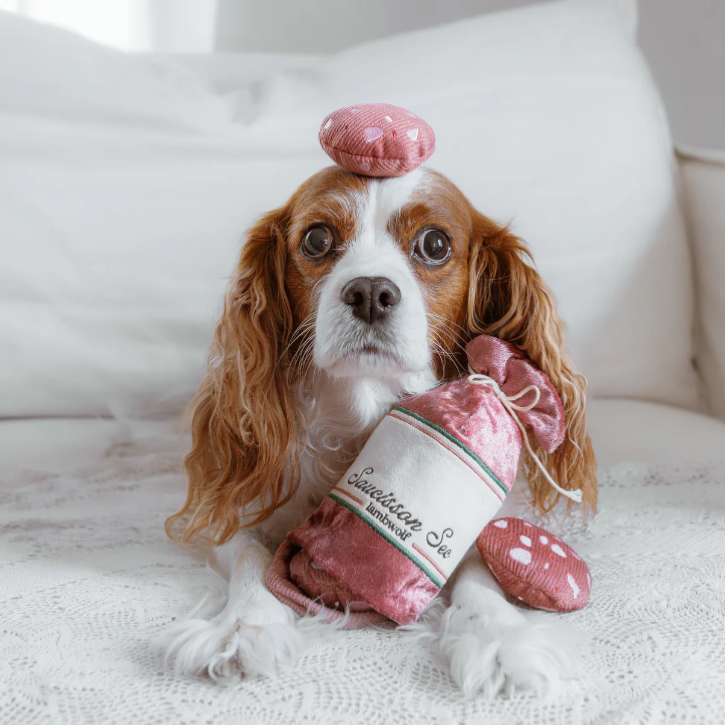 Lambwolf Collective - Saucisson Sec Dog Toy