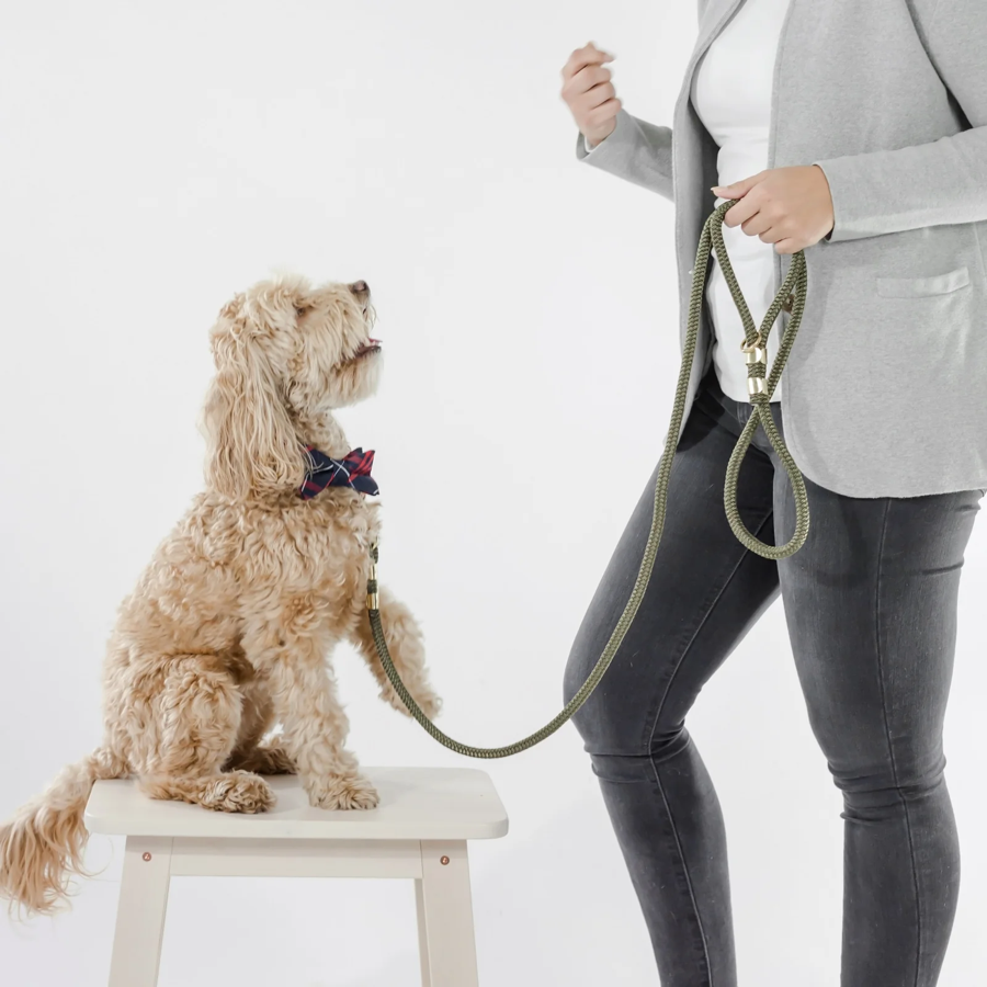 The Rover Boutique - Rope Dog Leash