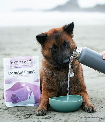 Red Dog Blue Kat - Everyday Anywhere Freeze-Dried Dog Food