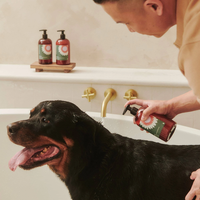 Dandylion - Nourish Gentle Hydrating Dog Conditioner