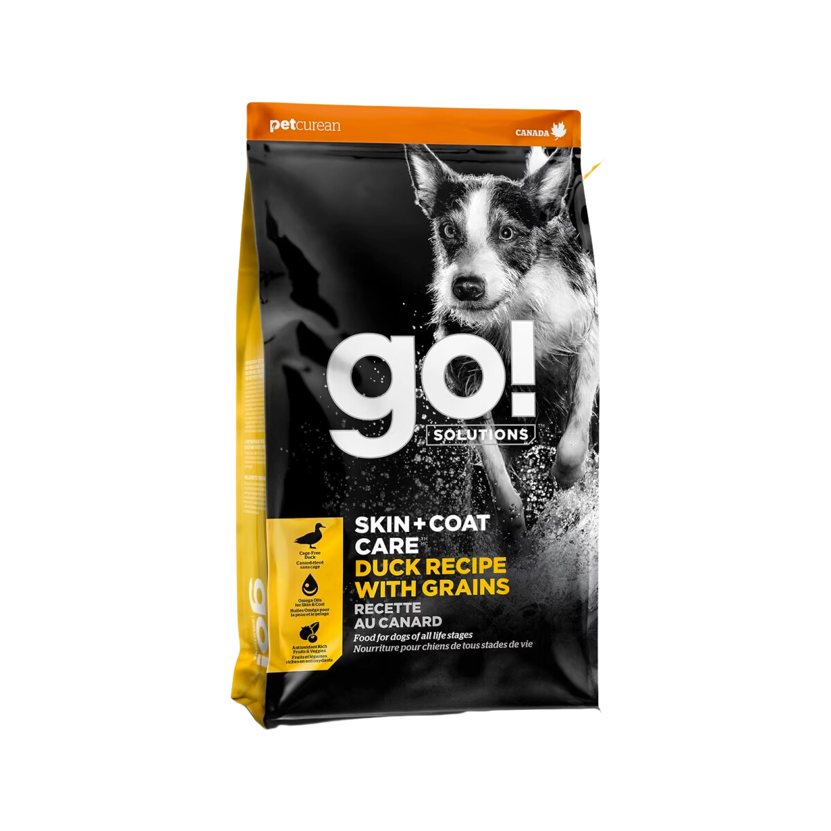 Go! - Skin & Coat Care - Dry Dog Food