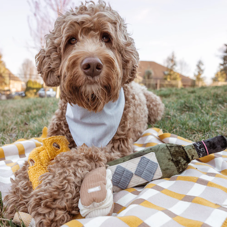 Lambwolf Collective - Merlot Dog Toy