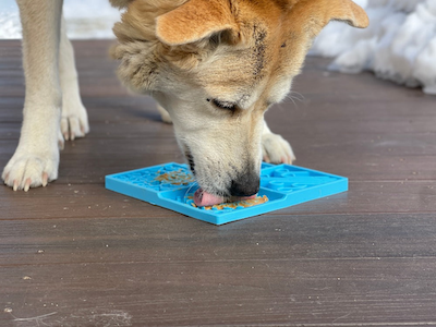 SodaPup - Sky Design Enrichment Lick Mat