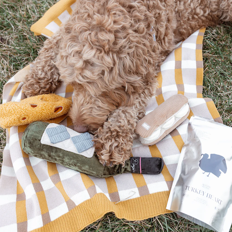 Lambwolf Collective - Merlot Dog Toy
