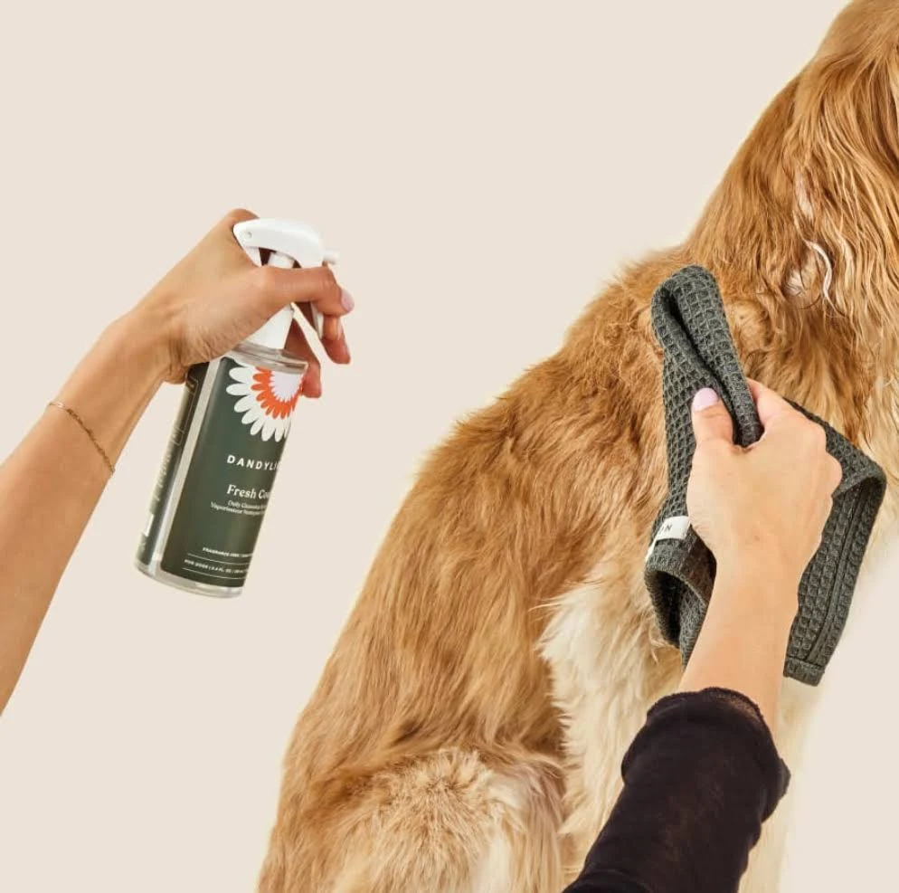 Dandylion - Fresh Coat Daily Cleansing Spray - Waterless No-Rinse Shampoo
