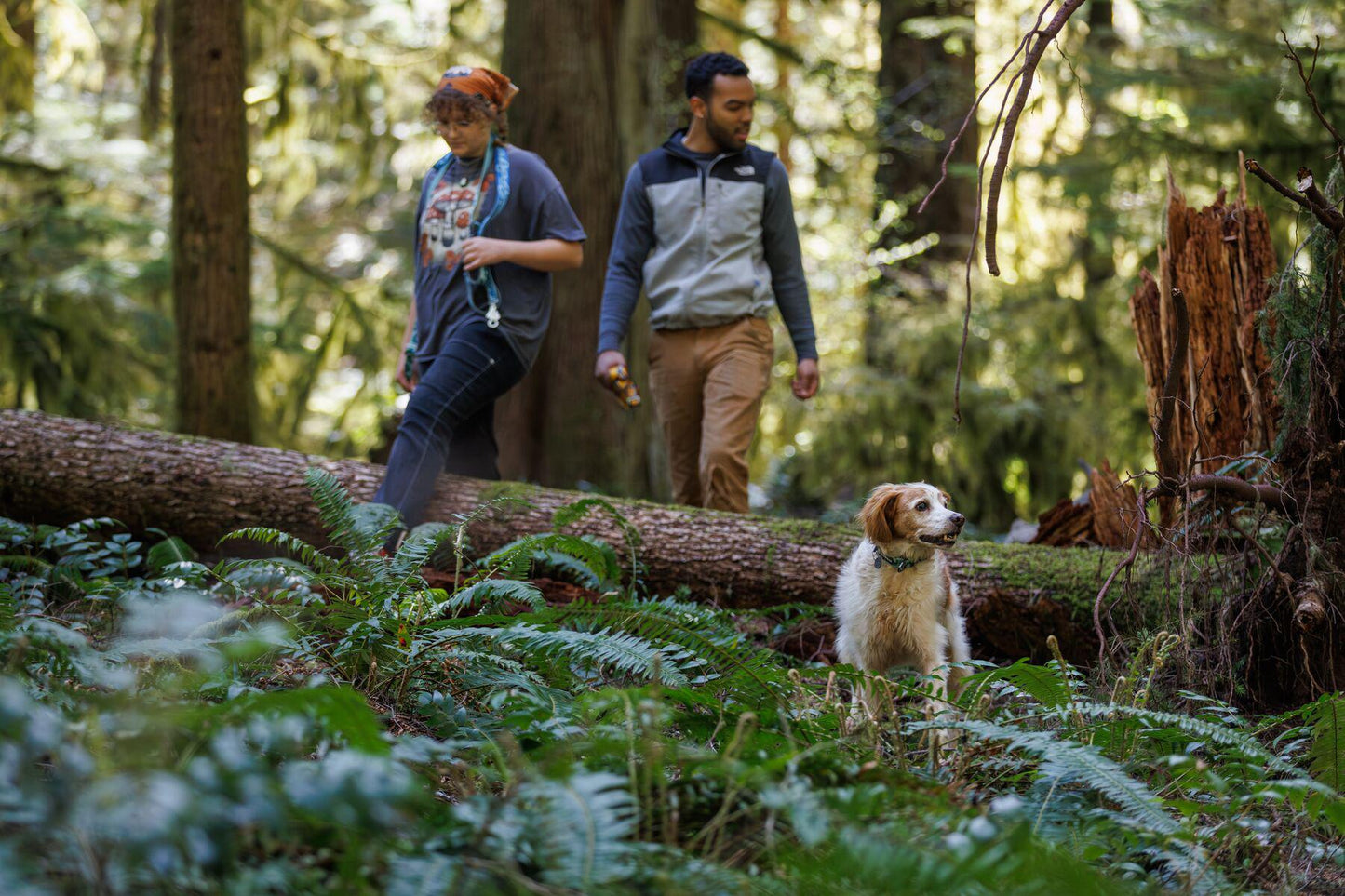 Ruffwear - Crag Collar - Grassy Oxbow
