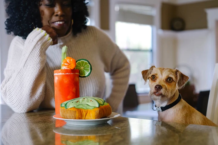 P.L.A.Y. - Barking Brunch, Avo-doggo Toast