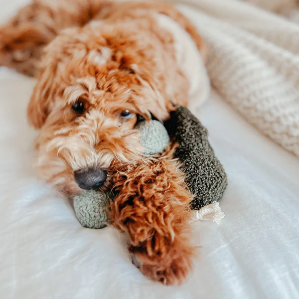 Lambwolf Collective - Pea Pop Dog Toy