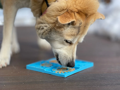 SodaPup - Sky Design Enrichment Lick Mat