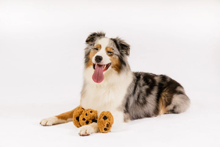 P.L.A.Y. - Pup Cup Café, Cookies n’ Treats