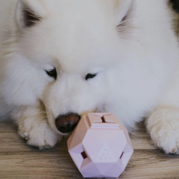 Up Dog - The Odin - Puzzle Toy