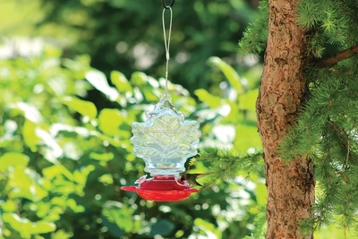 Pinebush - Maple Leaf Shape Glass Hummingbird Feeder