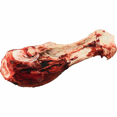 K9 Choice - Frozen Beef Dino Bones