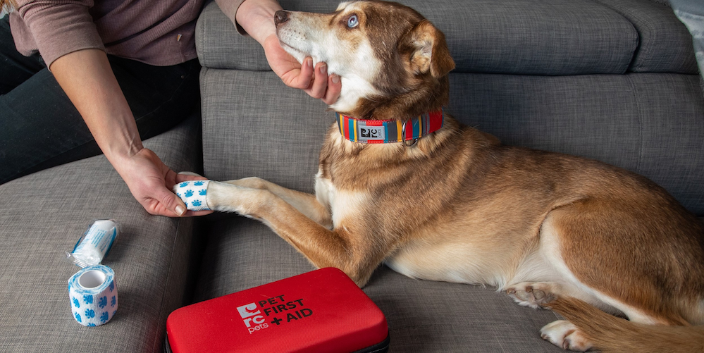 RC Pets - Pet First Aid Kit