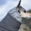 Hurtta - Extreme Overall Dog Snowsuit