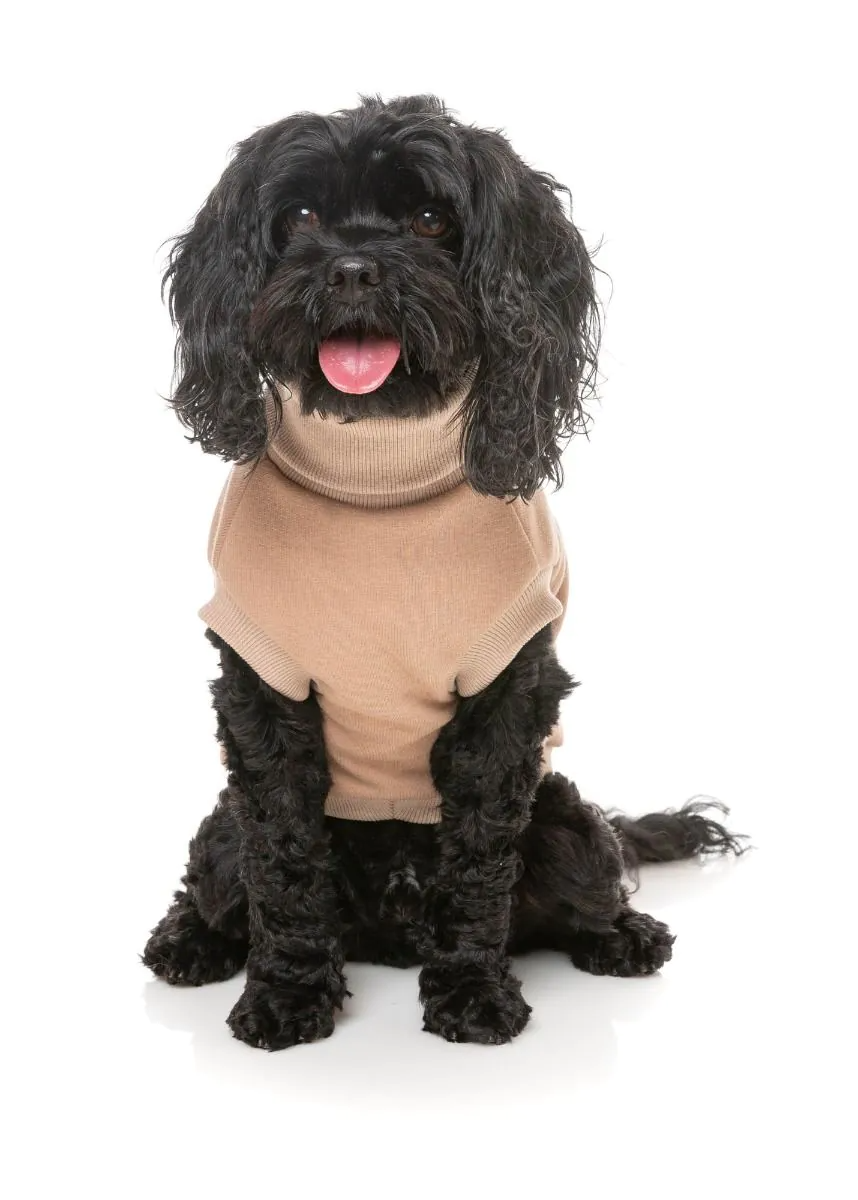 Fuzzyard - Stevie 24 Beige Sweater