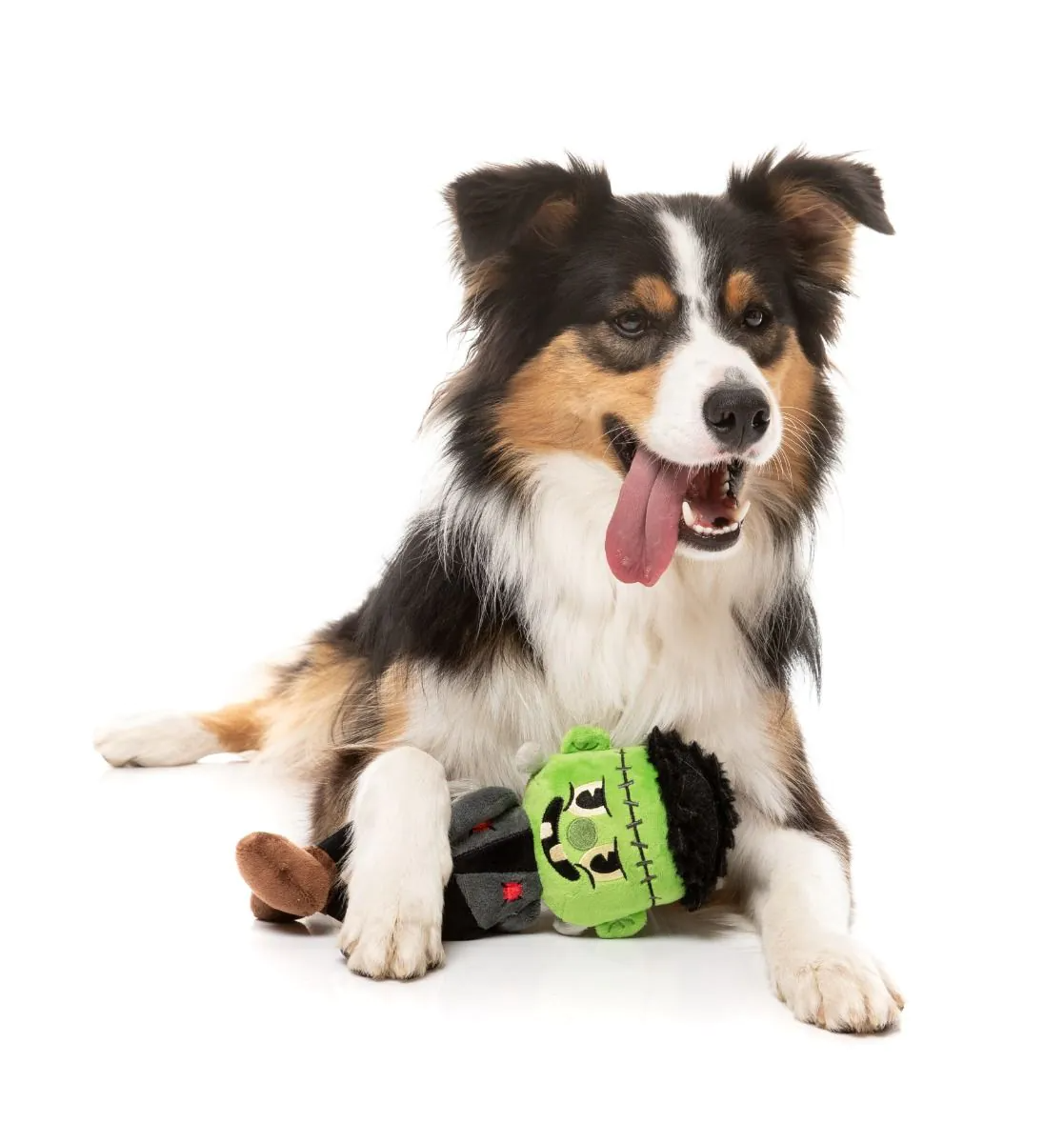 Fuzzyard - Igor Dog Toy