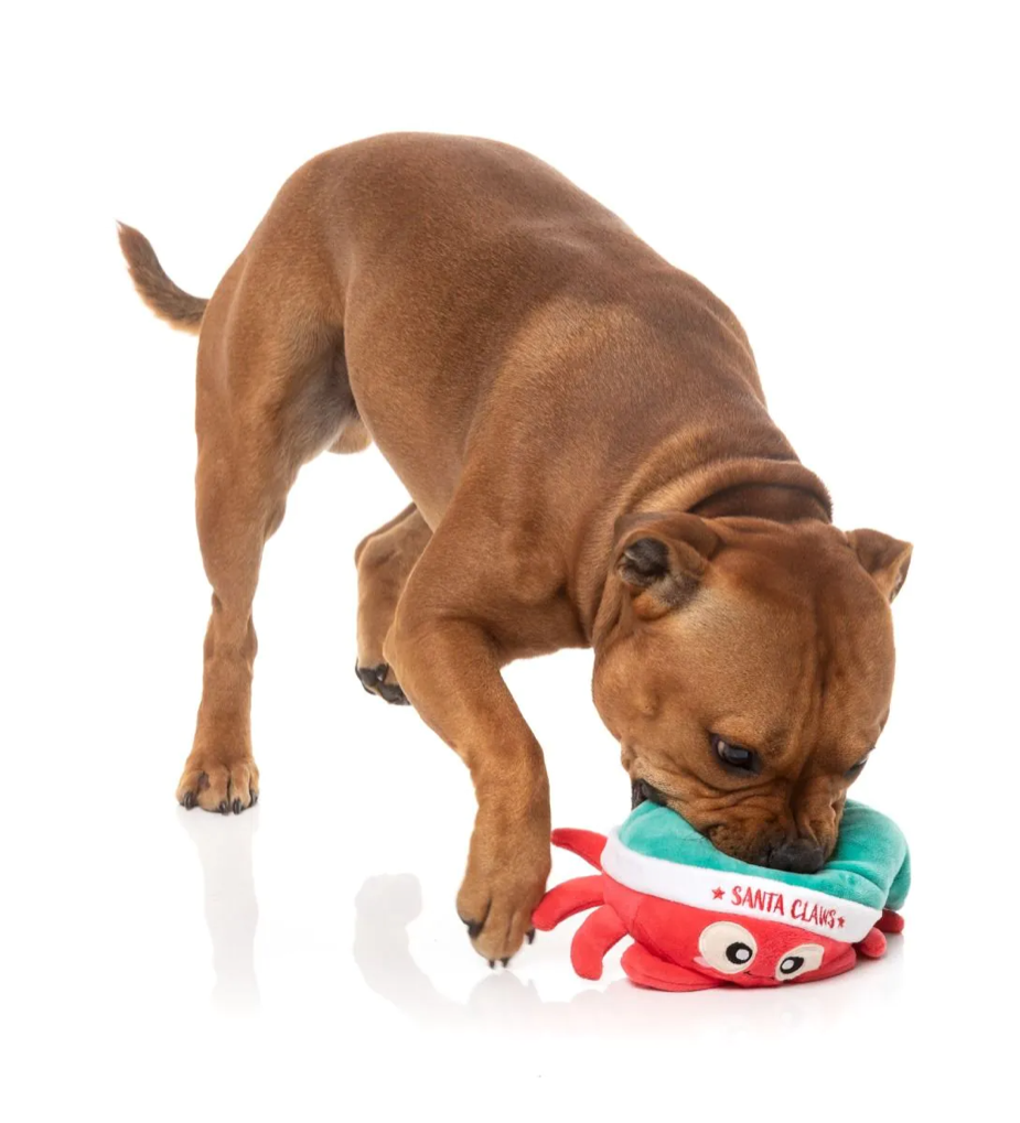 Fuzzyard - Santa Claws Dog Toy