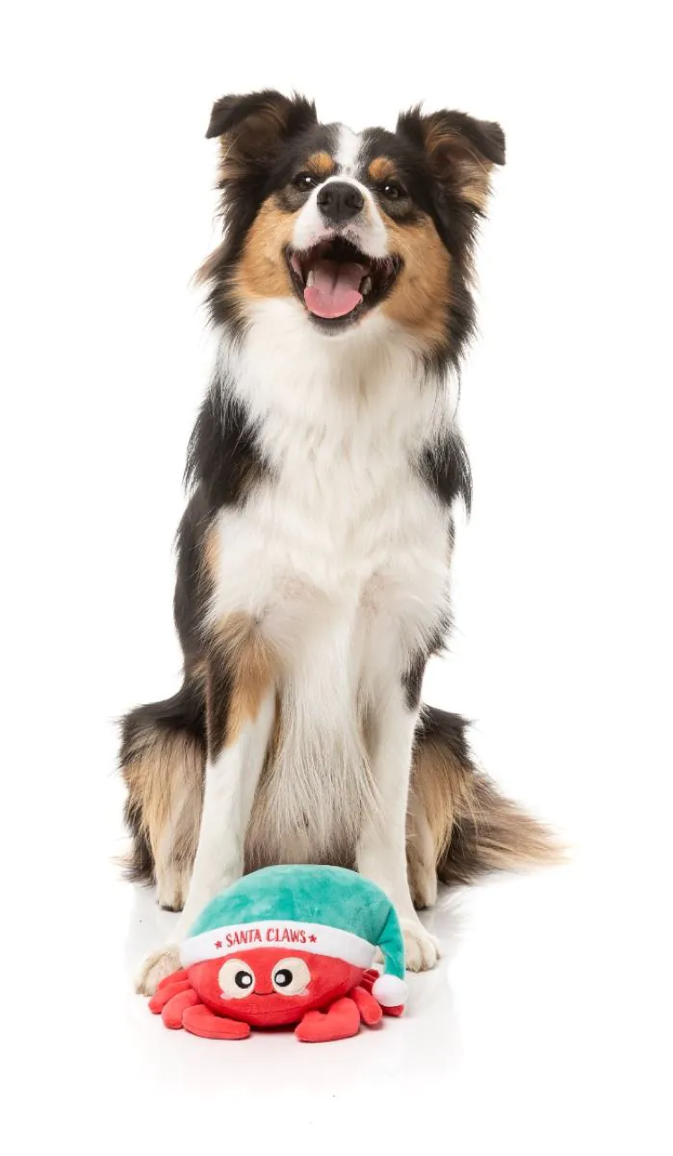 Fuzzyard - Santa Claws Dog Toy