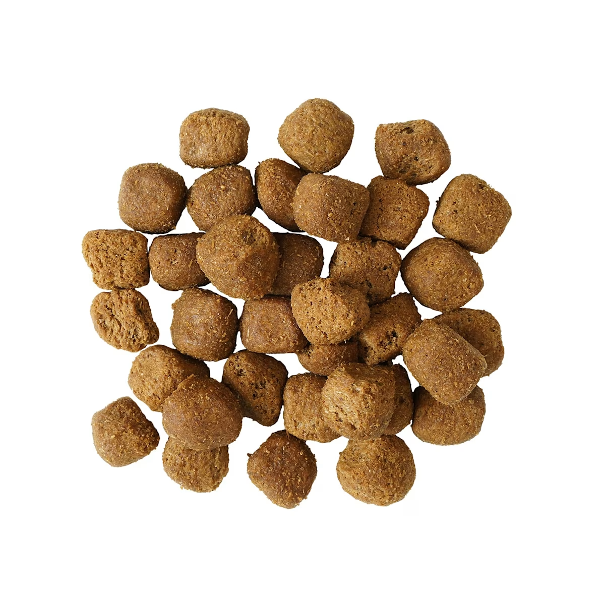 Go! - Dental & Immune Health - Dry Dog Food