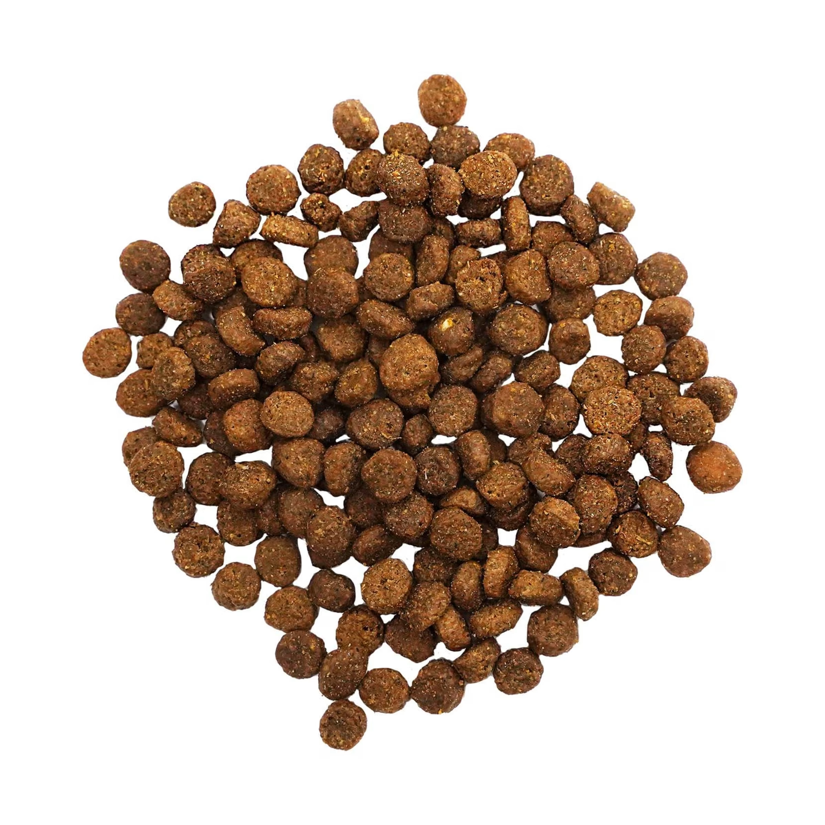 Go! - Digestion & Gut Health - Dry Cat Food