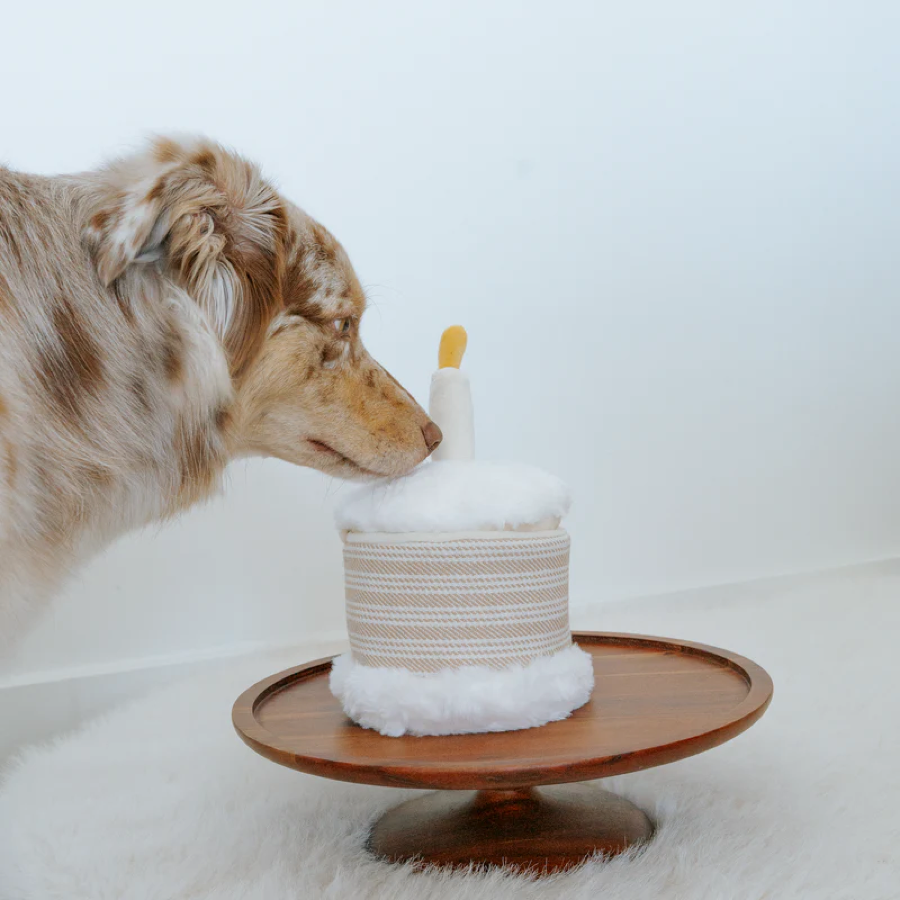 Lambwolf Collective - Birthday Cake Dog Toy