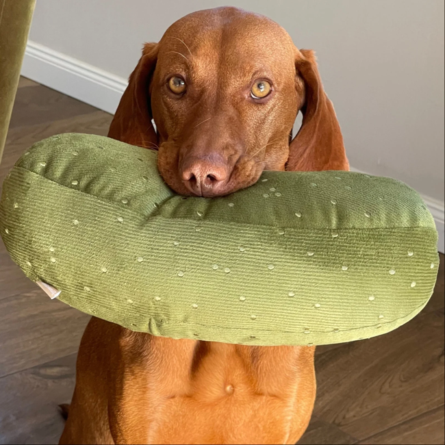Lambwolf Collective - Giant Pickle Dog Toy