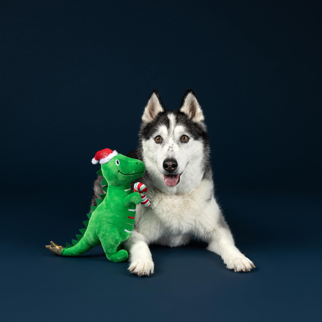 Fringe - Rex-Mas Is Here Dog Toy