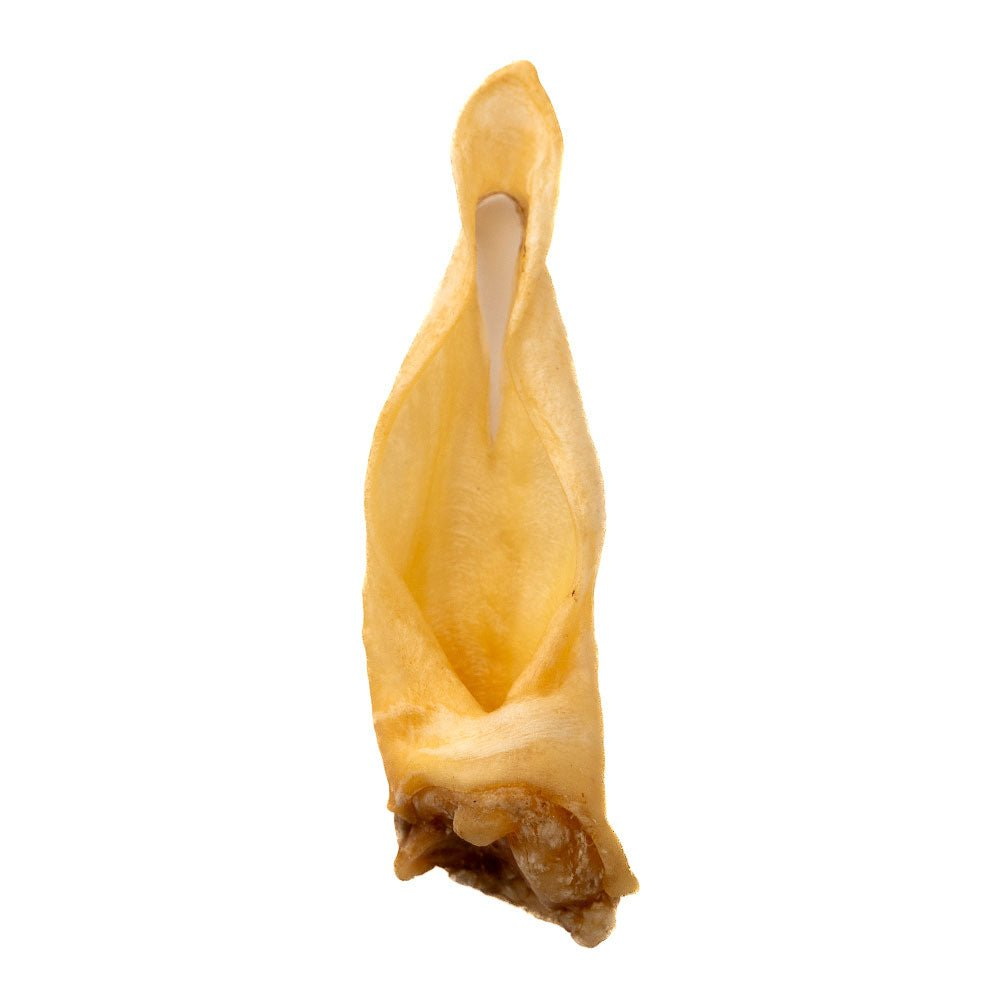 Maggie's Favourites - Lamb Ears - Single