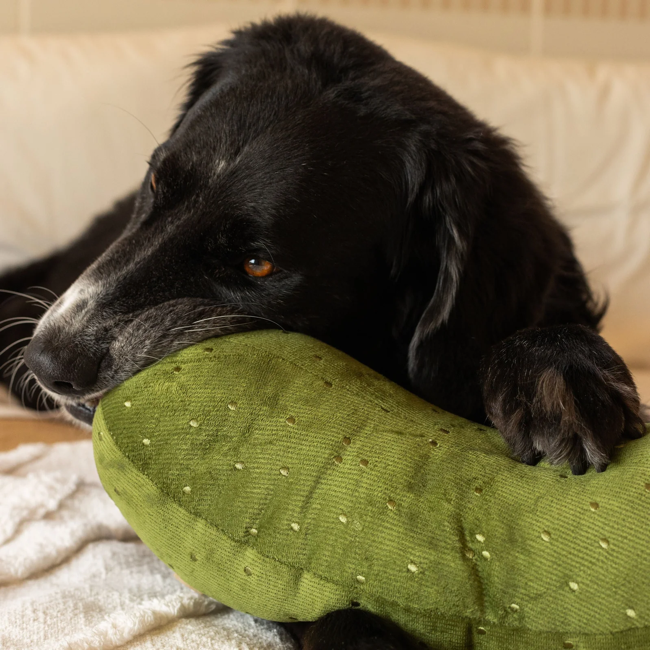Lambwolf Collective - Giant Pickle Dog Toy