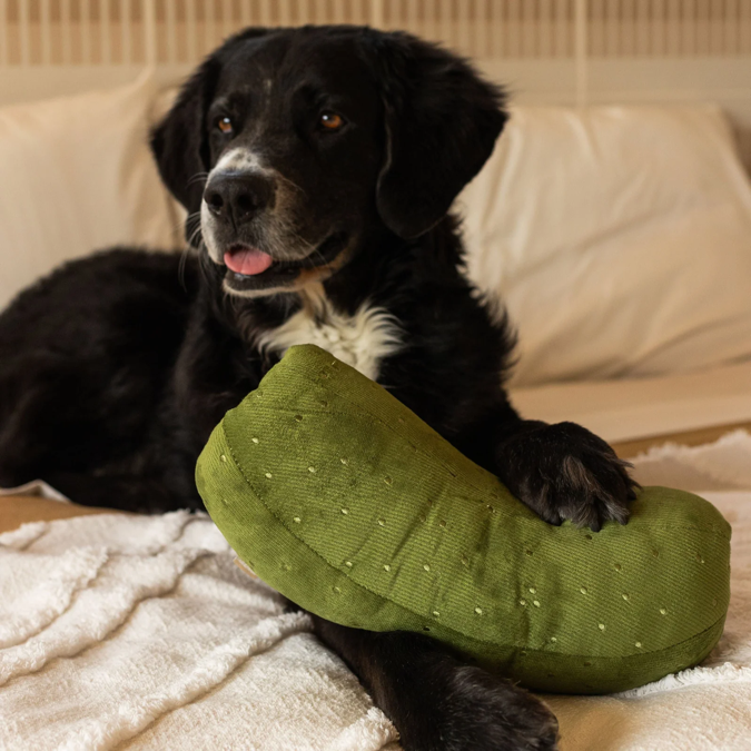 Lambwolf Collective - Giant Pickle Dog Toy