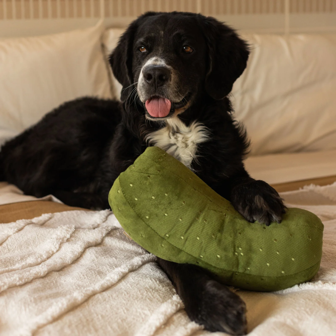 Lambwolf Collective - Giant Pickle Dog Toy