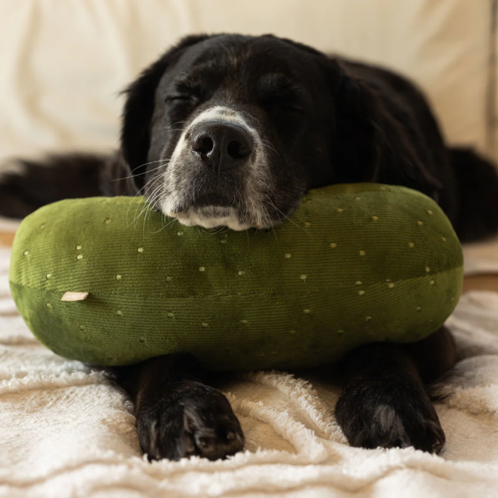Lambwolf Collective - Giant Pickle Dog Toy