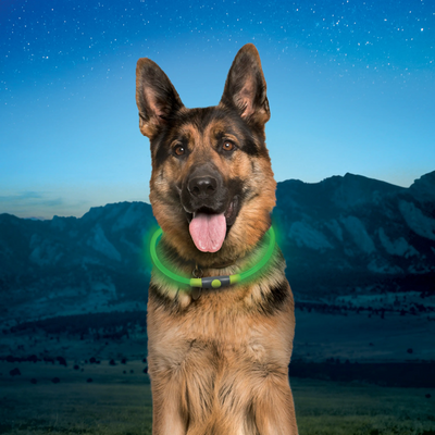 Nite-Ize - NiteHowl Rechargeable LED Safety Necklace